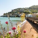 Muir Woods and Sausalito + Ferry, Alcatraz Night Tour & Aquarium Access - Final Thoughts: Who Is This Tour Best For?