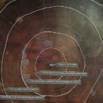 Muir Woods and Sausalito Private Tour - What’s Included and What’s Not