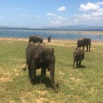 Multi Day Private Tour Around Sri Lanka with our Personal Driver - Exploring the Itinerary in Detail
