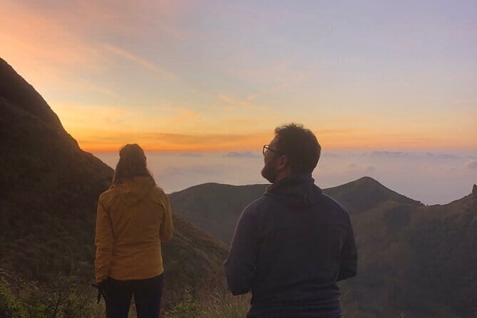 Munnar Daily Tour - What Makes This Tour Stand Out