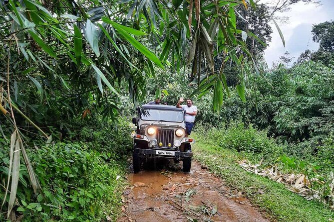 Munnar Mountain Jeep Safari - Final Thoughts
