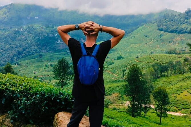 Munnar Tea Trail Tour , Tea factory visit & Tea Tasting - FAQs