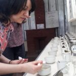 Munnar Tea Trail Tour with Factory Experience ( By Munnar Info) - The Experience: A Deep Dive into Munnar’s Tea World