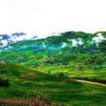 Muong Hoa Valley Trek & Homestay Experience - 4D3N - Who Is This Tour Best For?