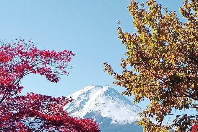 Muslim Friendly Mount Fuji Tour with English Speaking Guide - The Full Experience: What to Expect from Each Stop