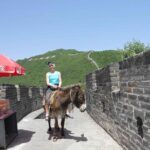 Mutianyu Great Wall and Summer Palace Private Day Trip with Lunch - What Makes This Tour Stand Out?
