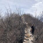 Mutianyu Great Wall Private Transfer With Option - Authentic Experiences from Travelers