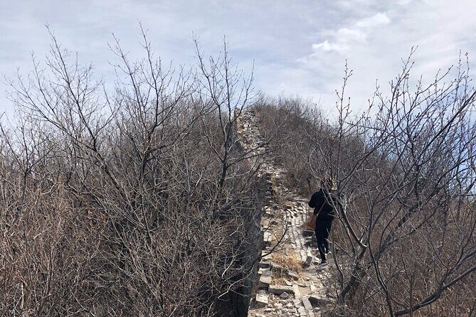 Mutianyu Great Wall Private Transfer With Option - Authentic Experiences from Travelers