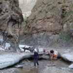 Mysteries of the Gobi Desert - Heading South to the Gobi: Geological Wonders & Nomad Life