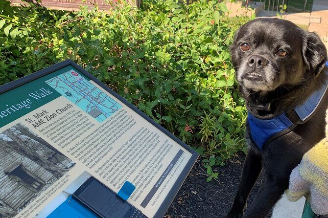Mysteries on the Move: Scavenger Hunt in San Diego - FAQ