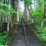 Nagano Private Tour With English Speaking Driver - Who Should Consider This Tour?