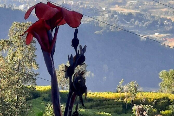 Nagarkot (2175m) Sunrise and Day Hike to Changunarayan Temple - Valuable Insights From Travelers