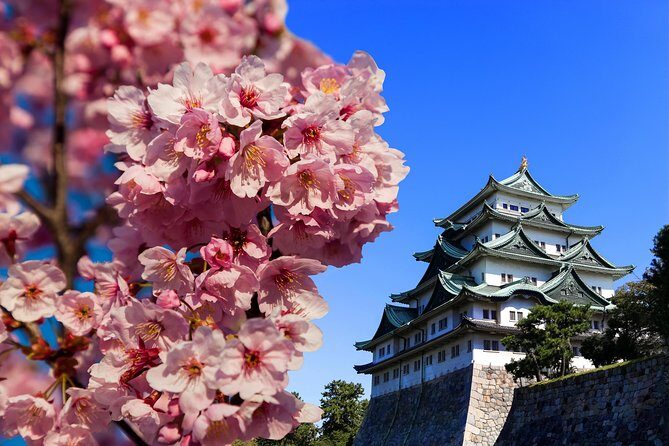 Nagoya Half Day Tour with a Local: 100% Personalized & Private - The Experience: How the Tour Unfolds