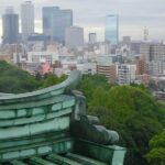 Nagoya Highlights & Hidden Gems: Private Tour with a Local - Who Would Love This Tour?