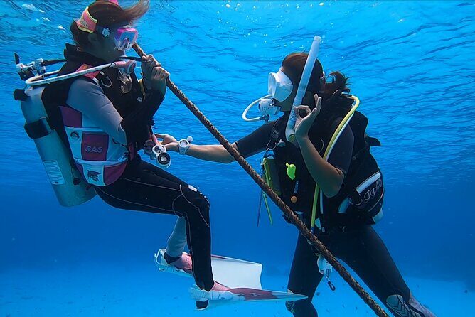Naha: Full-Day Introductory diving & Snorkeling in the Kerama Islands, Okinawa - Authentic Reviewer Insights