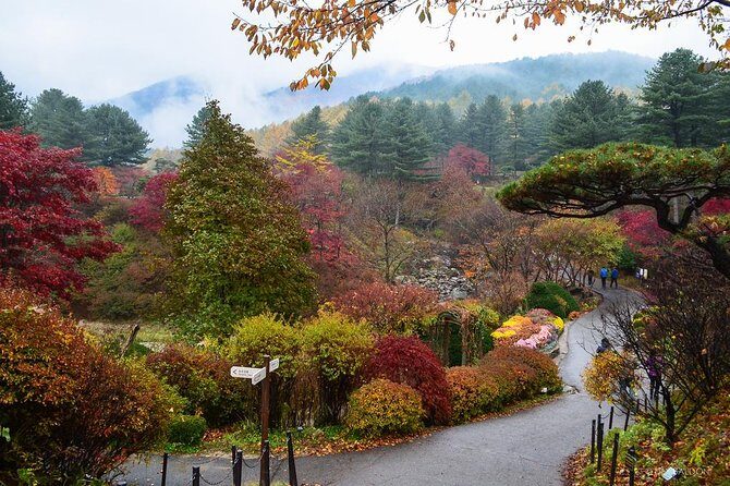 Nami Island from Seoul: Petit France and Garden of Morning Calm - Potential Drawbacks or Considerations
