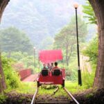 Nami Island & Garden of Morning Calm & Gangchon Railbike Tour - Who Should Book This Tour?