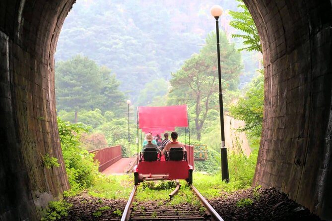 Nami Island & Garden of Morning Calm & Gangchon Railbike Tour - Who Should Book This Tour?
