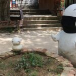 Nami Island& Petite France& Garden of Morning Calm& Italian Village One-Day Tour - What to Expect from the Transportation and Guide