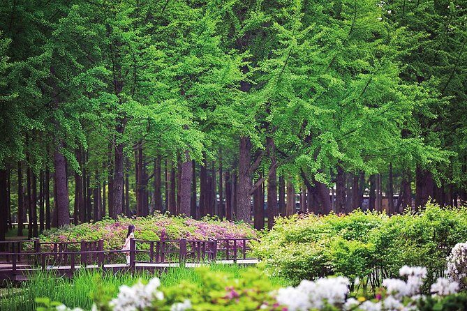 Nami Island & Petite France with Italian Village One-Day Tour - What’s Included & What’s Not