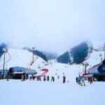 Nami Island + Ski Tour - Who Will Love This Tour?