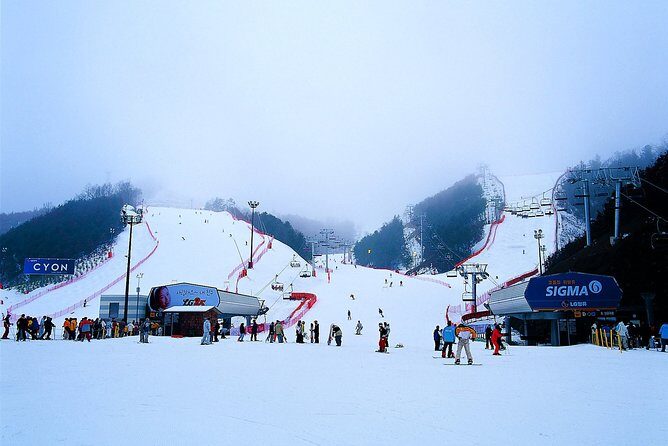 Nami Island + Ski Tour - Who Will Love This Tour?