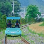 Nami Island Trip with Petite France & Italian Village and Gangchon Rail Bike - Final Thoughts: Is It Worth It?