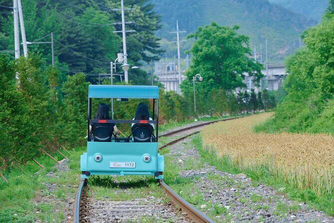 Nami Island Trip with Petite France & Italian Village and Gangchon Rail Bike - Final Thoughts: Is It Worth It?