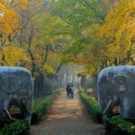 Nanjing Private English Tour Guide Service - Deep Dive into the Itinerary and Experience