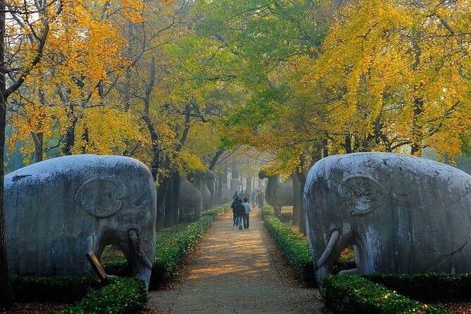 Nanjing Private English Tour Guide Service - Deep Dive into the Itinerary and Experience