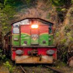 Nanu Oya to Kandy train ride on (Train No: 1016 "Udarata Menike") - Authentic Experiences and Review Insights