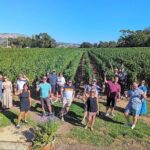 Napa Valley Small-Group Wine Tasting Tour via San Francisco Ferry - What Travelers Have Said