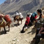 Nar Phu Valley Trek - 12 Days - Trek from Dharapani to Koto