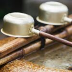 Nara Day Trip from Kyoto with a Local: Private & Personalized - The Booking and Cost