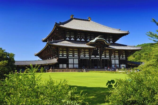 Nara, Todaiji Temple & Kuroshio Market Day BUS Tour from Osaka - The Practical Side: Transport, Timing, and Guides