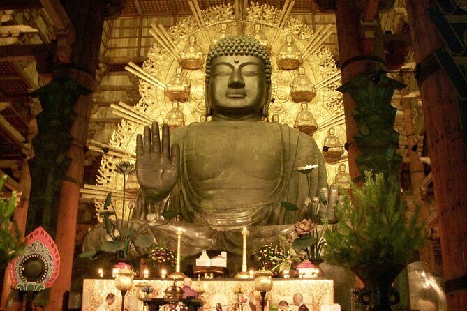 Nara World Heritage PRIVATE TOUR - Who Should Consider This Tour?