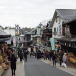 Naritasan Shinshoji temple before your flight - What Makes This Tour Valuable?