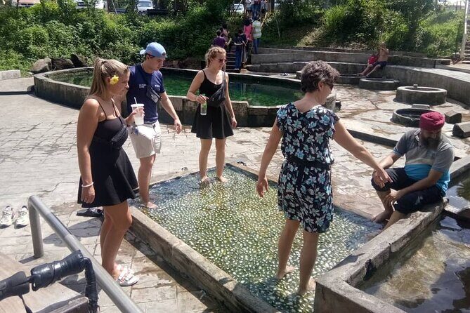 Nature Tour to Kuala Selangor Fireflies and Selayang Hotspring - Practical Insights and Tips