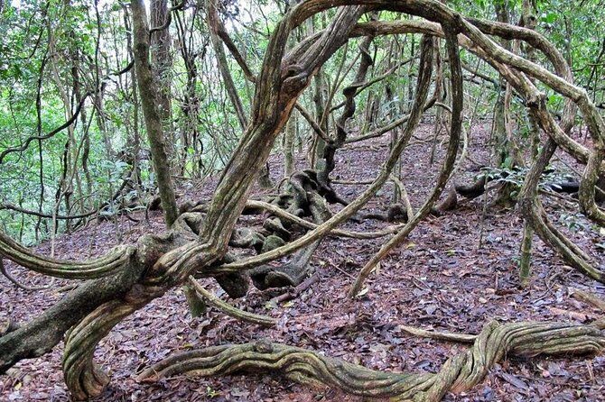 Nature Tour to Udawatte Kele Sanctuary, Kandy from Bentota - Final Thoughts