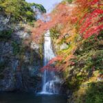 Nature Walk at Minoo Park, the Best Nature and Waterfall in Osaka - Authentic Insights from Past Travelers