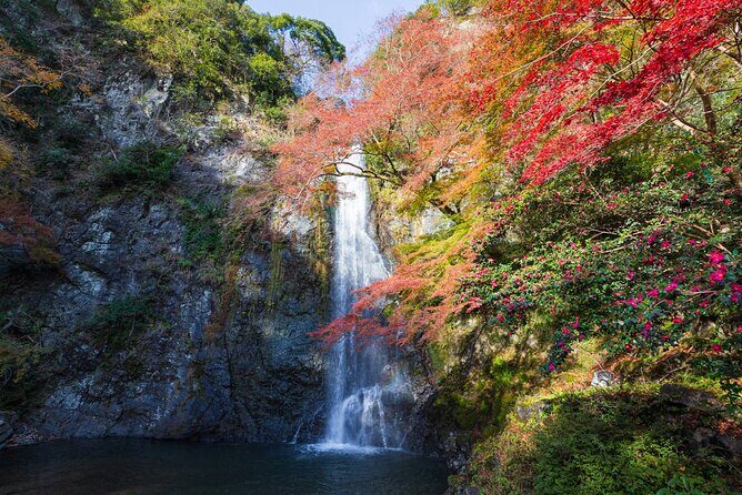 Nature Walk at Minoo Park, the Best Nature and Waterfall in Osaka - Authentic Insights from Past Travelers