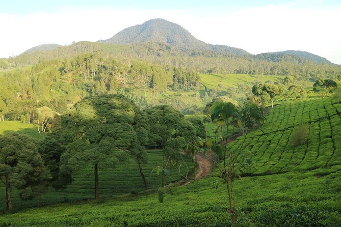 Nature's healing Bandung country side - What’s Included & Not Included