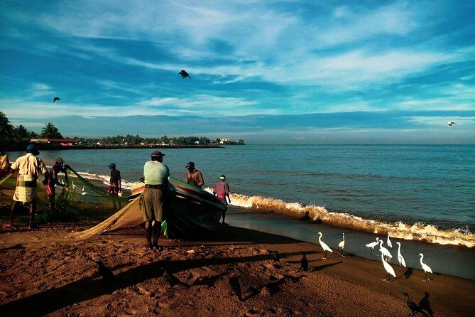 Negombo Day Tour - Practical Considerations
