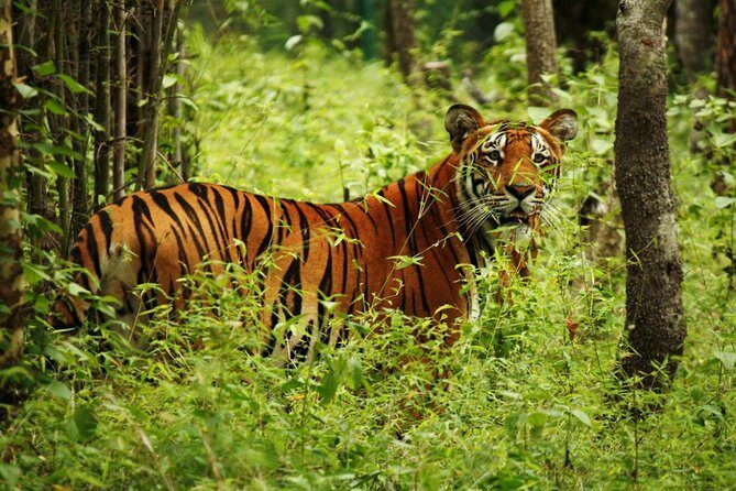 Nepal at a Glance Luxury -11 Days - The Value of the Tour