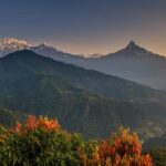 Nepal Cultural Highlights Tour in 10 Days - Who This Tour Is Best For