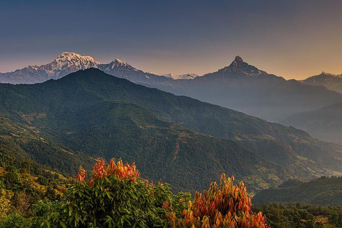 Nepal Cultural Highlights Tour in 10 Days - Who This Tour Is Best For
