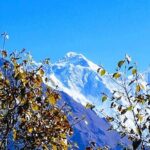 Nepal Discovery Tour: Heritage Sites & Scenic Hill Easy Hike - Scenic Drive to Sundarijal and Trek to Chisapani