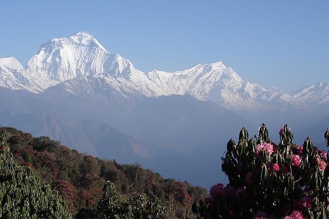 Nepal Round Tour with Annapurna Trek 14 Days - Authentic Experiences That Truly Stand Out
