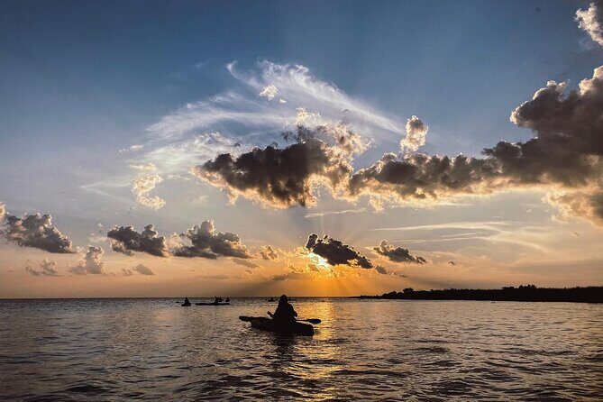 New Orleans Bayou Adventure: Kayak Rental - Who Will Love This Experience?