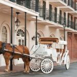 New Orleans Freaks and Geeks Tour - Final Thoughts: Is It Worth It?